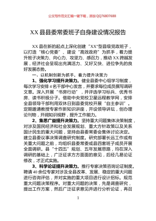 XX县县委常委班子自身建设情况报告