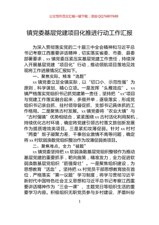 镇党委基层党建项目化推进行动工作汇报