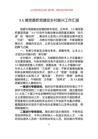 XX镇党委抓党建促乡村振兴工作汇报