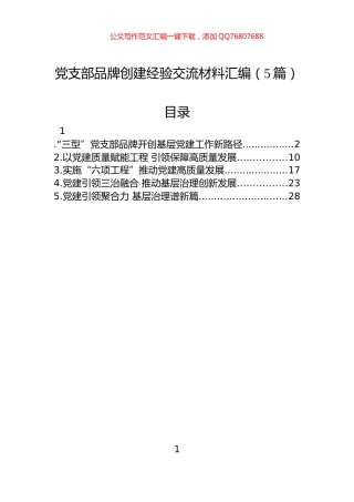 党支部品牌创建经验交流材料汇编（5篇）