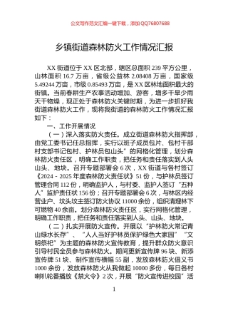 乡镇街道森林防火工作情况汇报