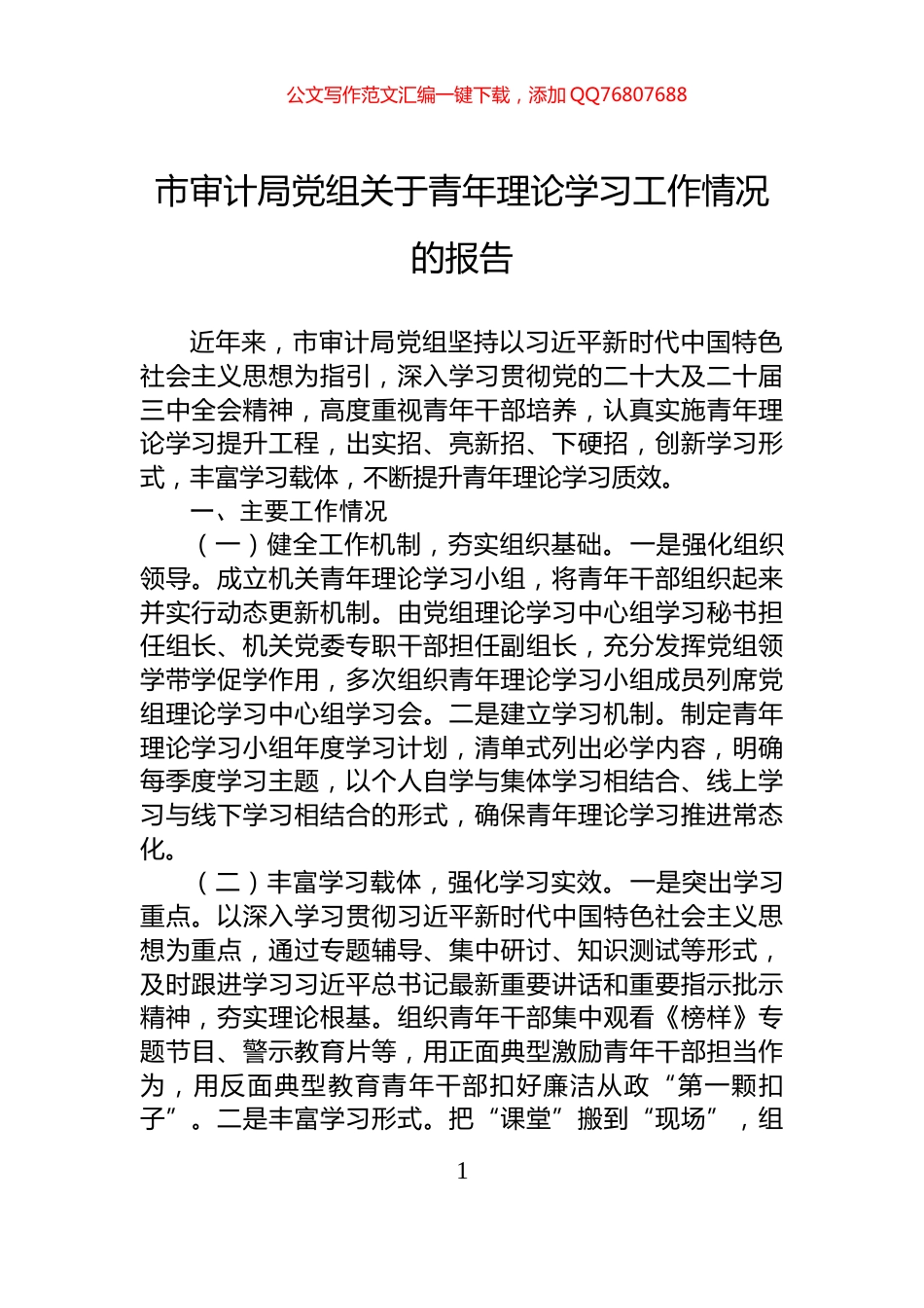 市审计局党组关于青年理论学习工作情况的报告_第1页