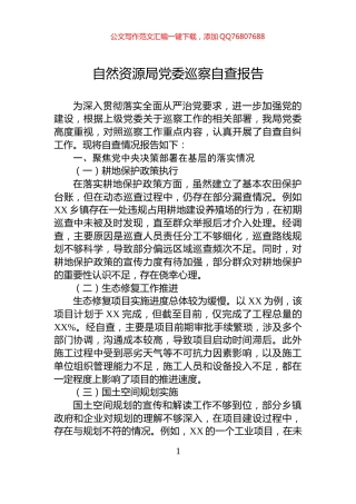 自然资源局党委巡察自查报告