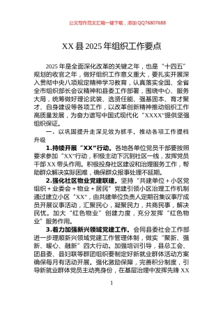 XX县2025年组织工作要点
