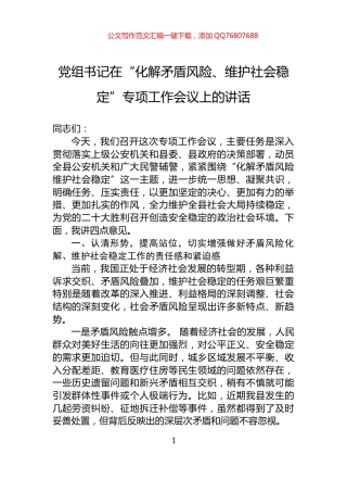 党组书记在“化解矛盾风险、维护社会稳定”专项工作会议上的讲话