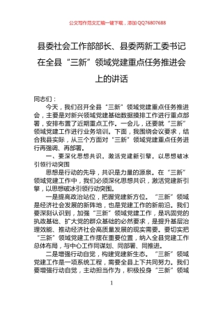 县委社会工作部部长、县委两新工委书记在全县“三新”领域党建重点任务推进会上的讲话