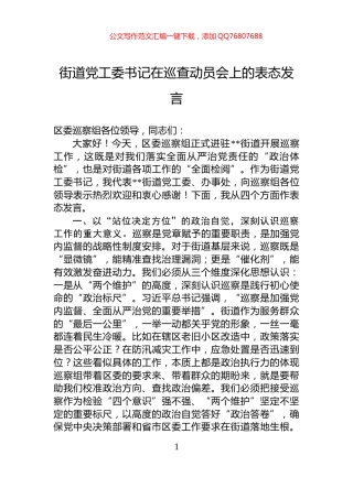 街道党工委书记在巡查动员会上的表态发言