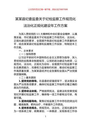 某某县纪委监委关于纪检监察工作规范化法治化正规化建设年工作方案