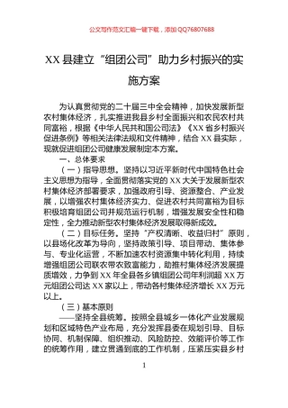 XX县建立“组团公司”助力乡村振兴的实施方案