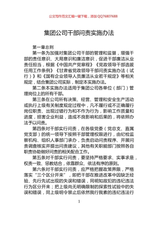 集团公司干部问责实施办法