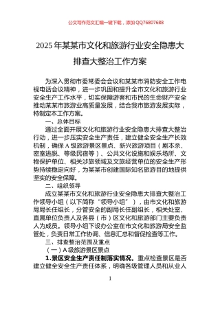 2025年某某市文化和旅游行业安全隐患大排查大整治工作方案