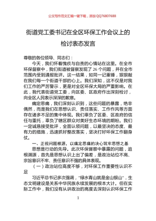 街道党工委书记在全区环保工作会议上的检讨表态发言
