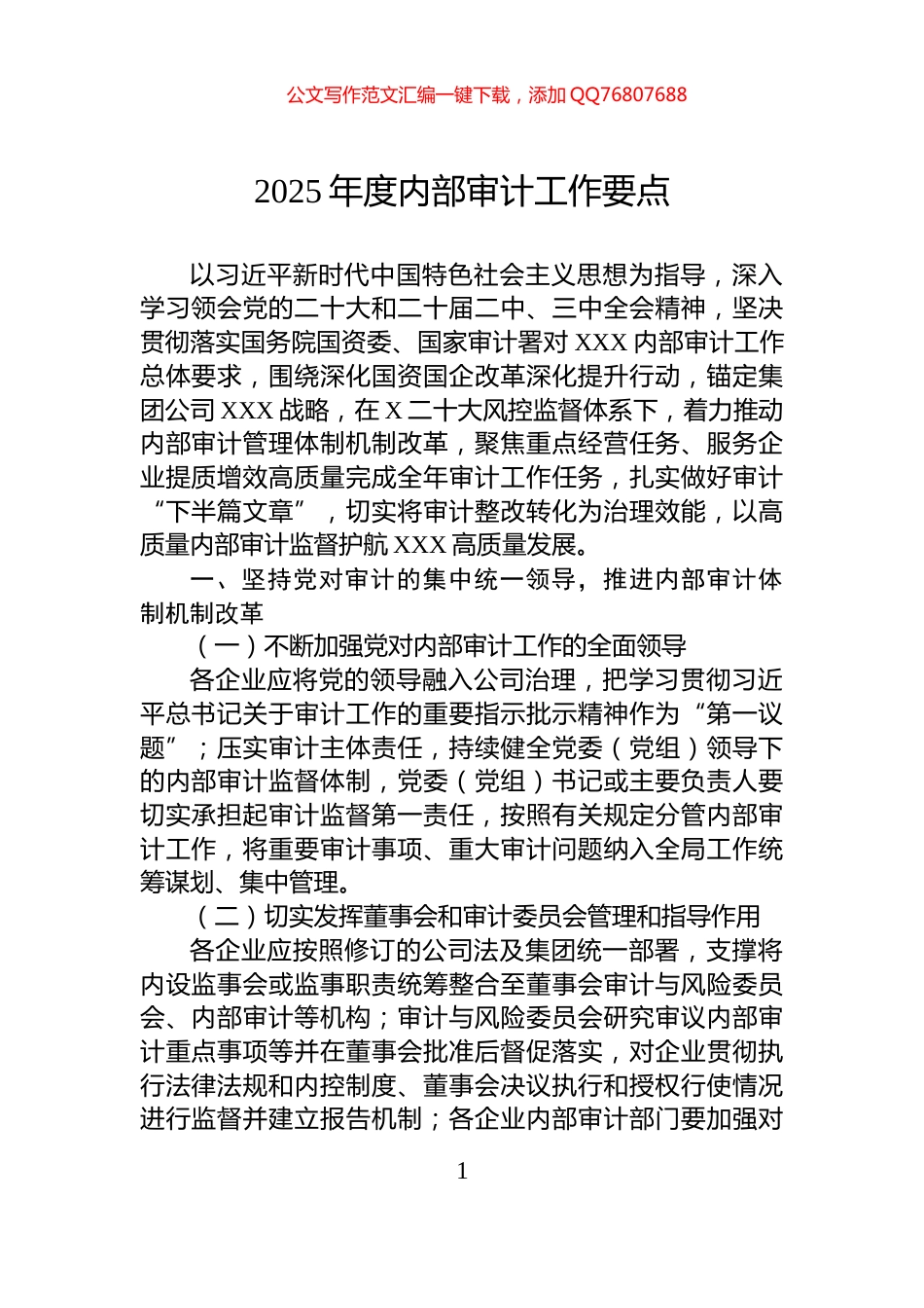 2025年度内部审计工作要点_第1页