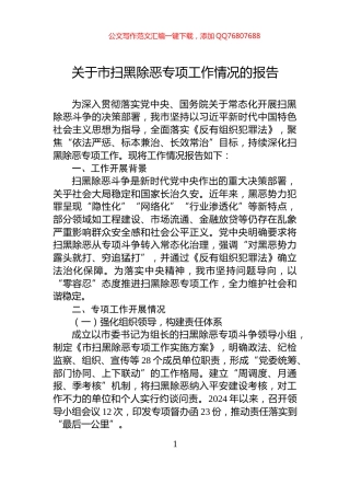 关于市扫黑除恶专项工作情况的报告