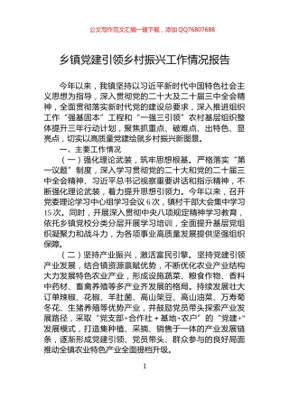 乡镇党建引领乡村振兴工作情况报告