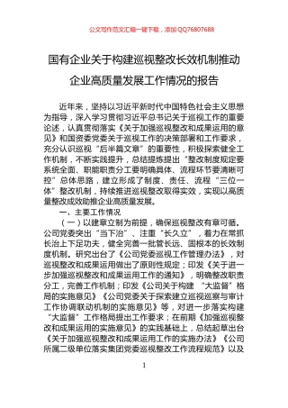 国有企业关于构建巡视整改长效机制推动企业高质量发展工作情况的报告