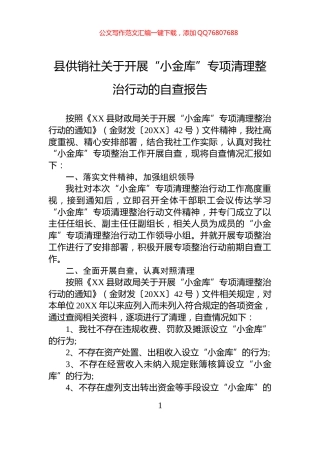 县供销社关于开展“小金库”专项清理整治行动的自查报告