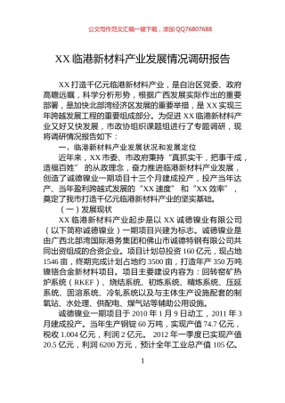 XX临港新材料产业发展情况调研报告