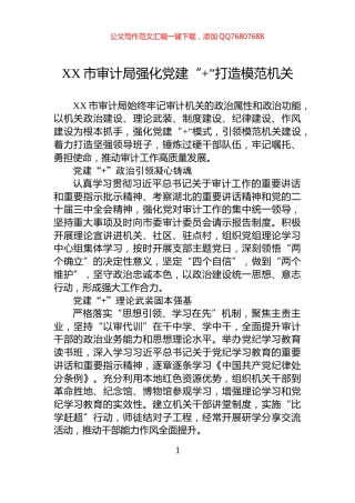XX市审计局强化党建“+”打造模范机关