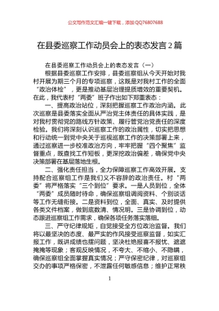 在县委巡察工作动员会上的表态发言2篇