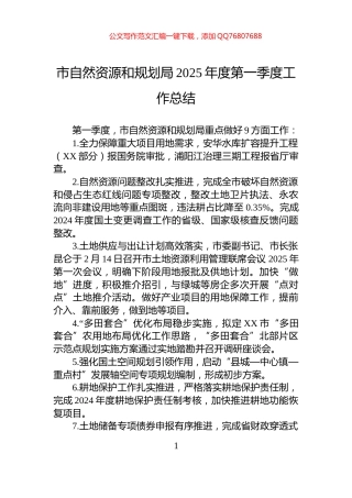 市自然资源和规划局2025年度第一季度工作总结