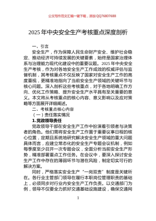 2025年中央安全生产考核重点深度剖析