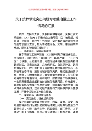 关于殡葬领域突出问题专项整治推进工作情况的汇报