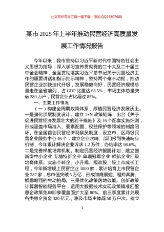 某市2025年上半年推动民营经济高质量发展工作情况报告