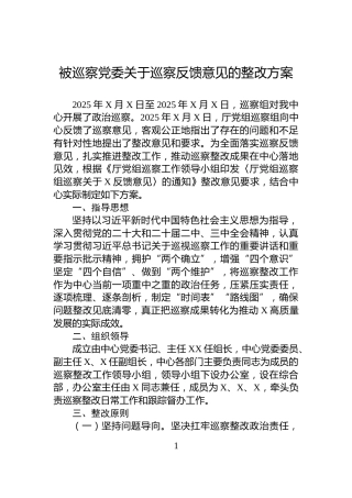 被巡察党委关于巡察反馈意见的整改方案