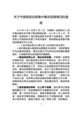 关于市委提级巡察集中整改进展情况的通报