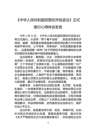 《中华人民共和国民营经济促进法》正式施行心得体会发言