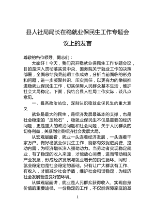 县人社局局长在稳就业保民生工作专题会议上的发言