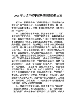 2025年乡镇年轻干部队伍建设经验交流