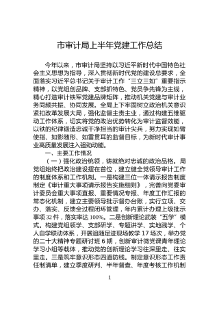 市审计局上半年党建工作总结