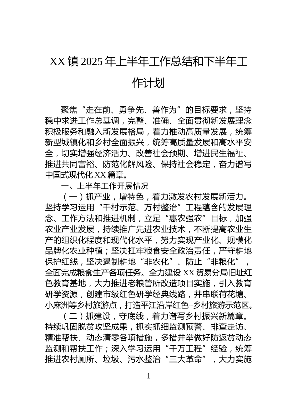XX镇2025年上半年工作总结和下半年工作计划_第1页
