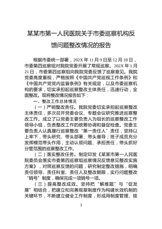 某某市第一人民医院关于市委巡察机构反馈问题整改情况的报告
