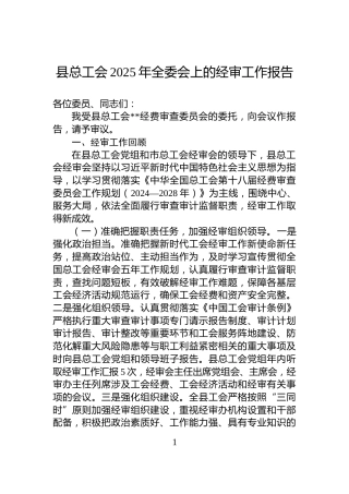县总工会2025年全委会上的经审工作报告