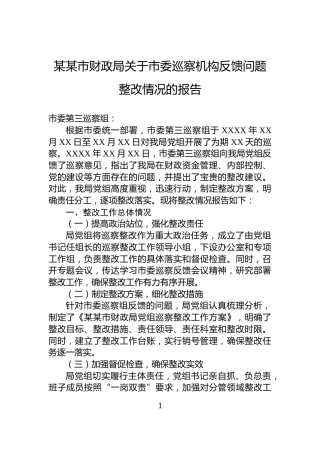某某市财政局关于市委巡察机构反馈问题整改情况的报告