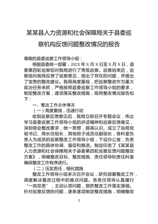 某某县人力资源和社会保障局关于县委巡察机构反馈问题整改情况的报告