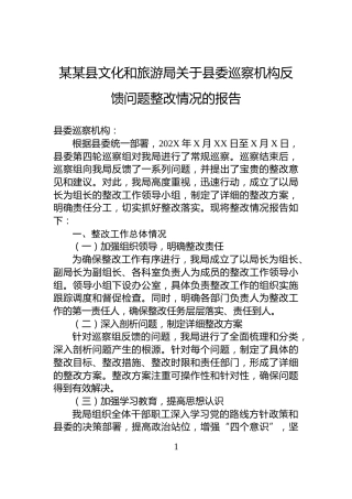 某某县文化和旅游局关于县委巡察机构反馈问题整改情况的报告