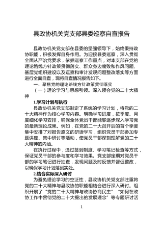 县政协机关党支部县委巡察自查报告