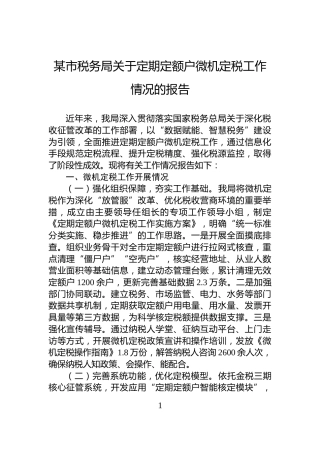 某市税务局关于定期定额户微机定税工作情况的报告