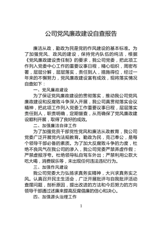 公司党风廉政建设自查报告