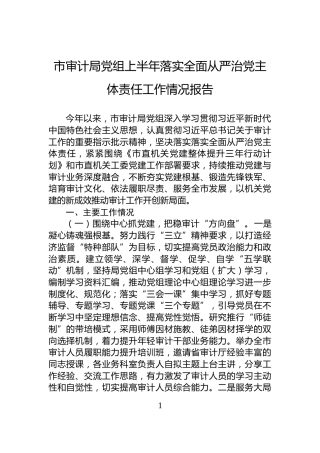 市审计局党组上半年落实全面从严治党主体责任工作情况报告