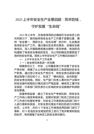 2025上半年安全生产全景回顾：筑牢防线，守护发展“生命线”