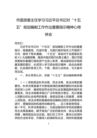 市国资委主任学习习近平总书记对“十五五”规划编制工作作出重要指示精神心得体会
