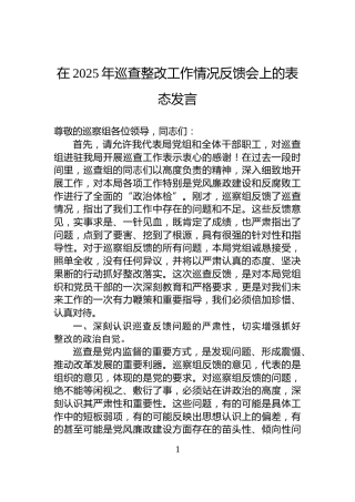 在2025年巡查整改工作情况反馈会上的表态发言
