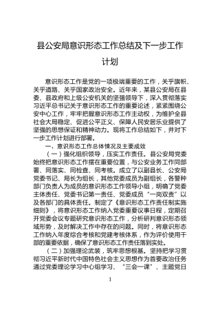 县公安局意识形态工作总结及下一步工作计划