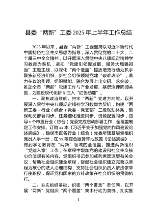 县委“两新”工委2025年上半年工作总结