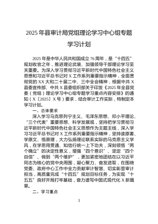 2025年县审计局党组理论学习中心组专题学习计划